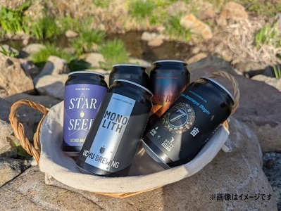 うちゅうブルーイング クラフトビール6本と名水百選で知られる白州の手作りソーセージ5種セット  クラフトビール ソーセージ ウインナー ベーコン ハム 詰め合わせ セット 6本 350ml 宇宙ビール