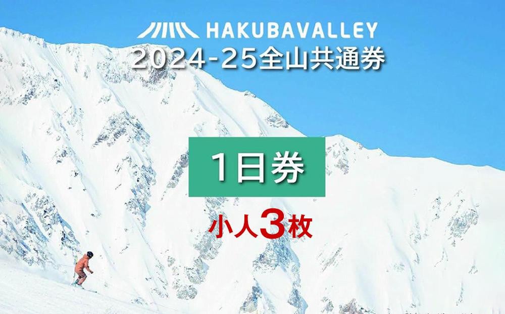 
            2024-2025 Hakuba Valley 全山共通1日券 小人3枚
          