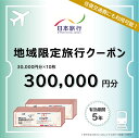 【ふるさと納税】G0562　愛知県蒲郡市 日本旅行 地域限定旅行クーポン300,000円分