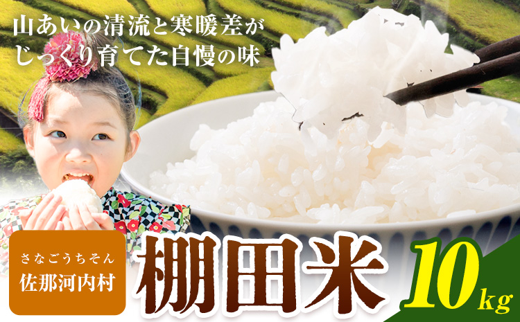 清流と寒暖差が生む村自慢の棚田米 精米 10kg《1月中旬-2月末出荷》徳島県 佐那河内村 お米 米 白米 送料無料