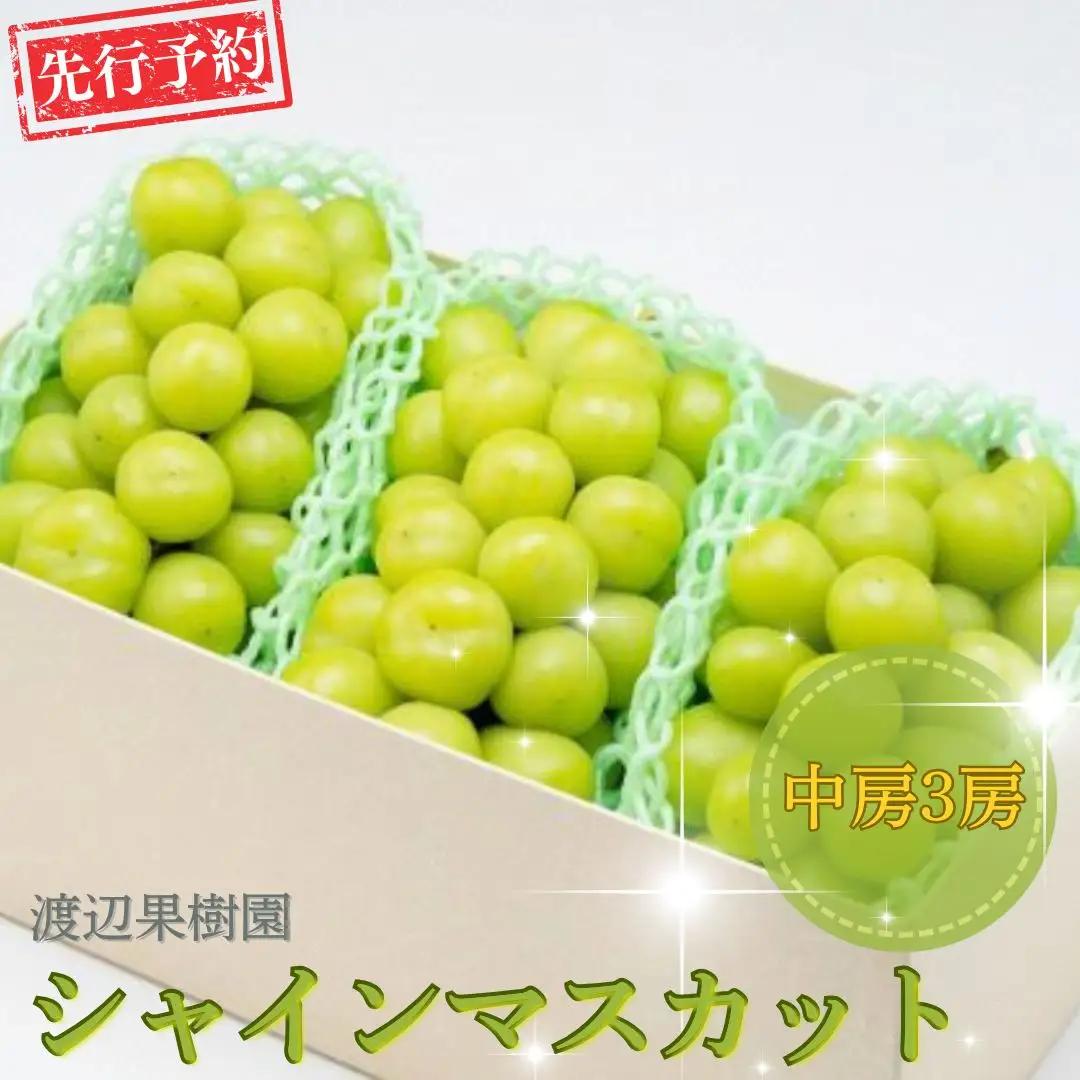 先行予約 中房 シャインマスカット 3房 (約1.5kg) 令和8年度 贈答用 渡辺果樹園
