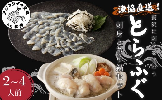 漁協直送！贅沢に刺身を味わう　とらふぐ刺身とちり鍋セット2〜4人前( とらふぐ トラフグ ふぐ フグ 河豚 刺身 ふぐ刺し フグ刺し 鍋 ちり鍋 ふぐちり 直送 松浦市 )【D5-008】