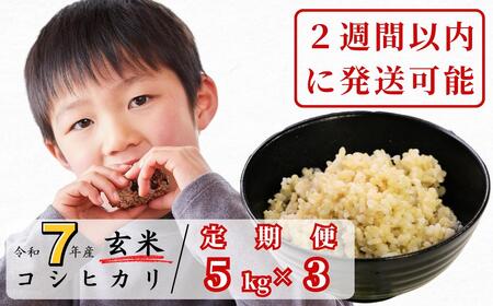 《期間限定》【3回定期便】玄米 5kg 令和7年産 コシヒカリ 岡山 あわくら源流米 K-ab-BEGA