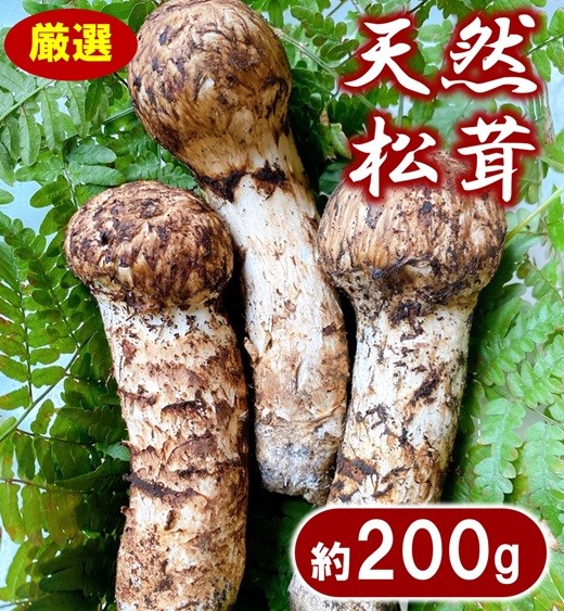 
                  【期間限定】 岩手県産 松茸 天然 約200g 国産 北三陸 厳選 数量限定
                