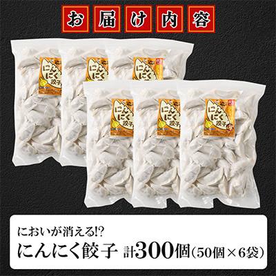 ふるさと納税 直方市 においが消える!?にんにく餃子 50個×6袋 |  | 01