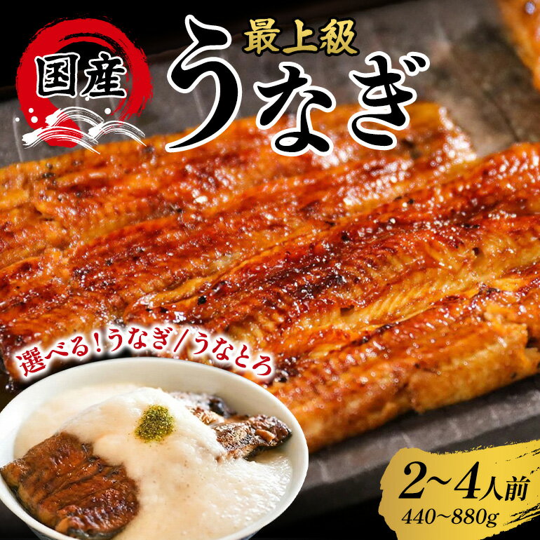【ふるさと納税】うなぎ 蒲焼 国産 選べる 鰻 うなぎと出汁とろろ うなとろ 2人前 3人前 4人前 440g 660g 880g 冷凍 真空パック ギフト プレゼント 贈答 贈り物 土用の丑の日 丑の日 うなぎの量深 笠間市 茨城県 いばらき