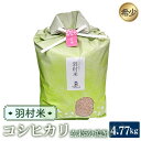 【ふるさと納税】No.053 羽村米　コシヒカリ　精米（玄米5kgを5分搗き）約4.77kg ／ こしひかり 水田 送料無料 希少 お米 こめ 東京都