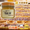 【ふるさと納税】【 国産 天然蜂蜜 】 はちみつ 日本みつばち 百花蜜 250g たれ蜜製法 純粋ハチミツ　【 ハニー 甘味 調味料 国産はちみつ 天然蜂蜜 栄養たっぷり さっぱりした甘さ 自然の美味しさ 】