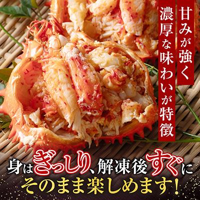 ふるさと納税 根室市 ＜12/21まで年内配送＞★花咲がに甲羅詰め80g前後×2個 G-54001 |  | 02
