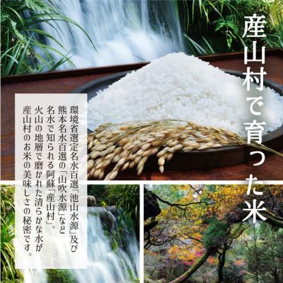 ふるさと納税 産山村 【令和7年産新米】うぶまい(コシヒカリ白米)10kg〈阿蘇の名水 池山水源米〉 |  | 03