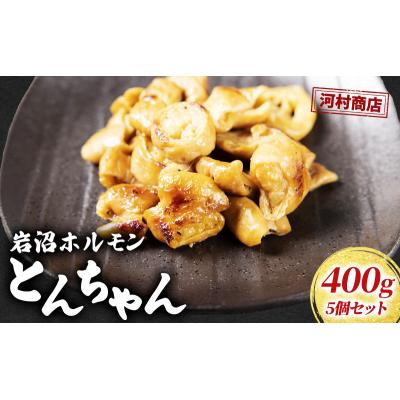ふるさと納税 岩沼市 【河村商店】岩沼ホルモン(とんちゃん)400g×5個[No.5704-0451]