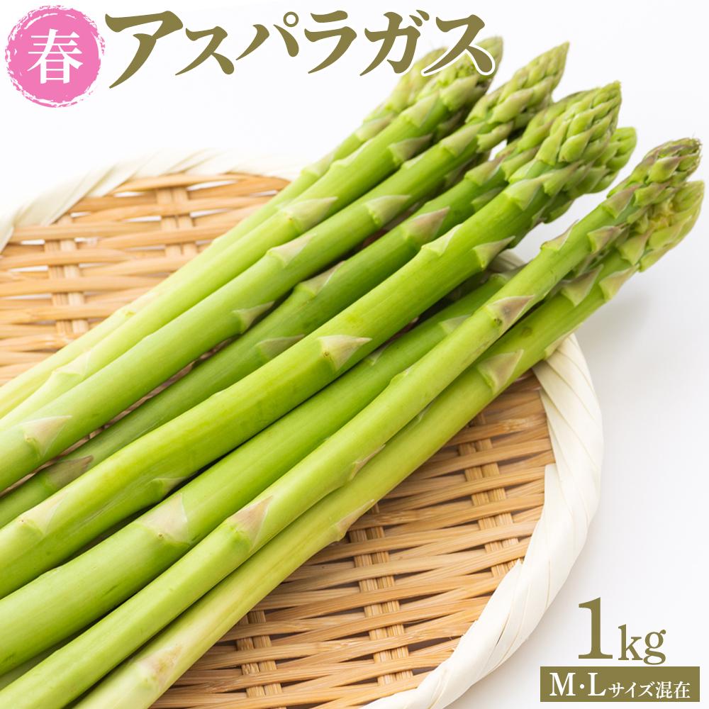 【ふるさと納税】【先行予約】春アスパラガス 1kg M・Lサイズ混在 2026年1月下旬頃より発送