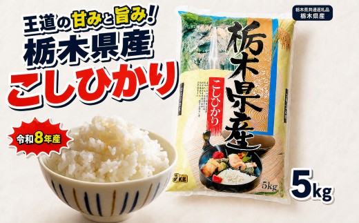 【令和8年産 新米】栃木県産 お米 白米 こしひかり 5kg | 栃木県 矢板市　栃木県共通返礼品 栃木県産