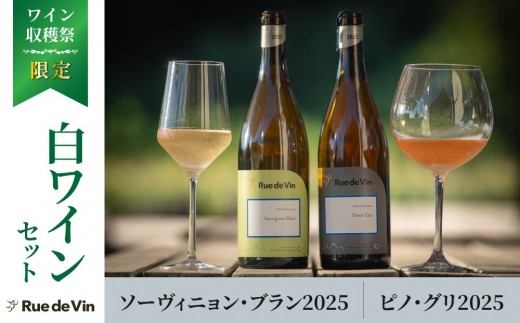 
                  【とうみワイン収穫祭限定！】白ワイン2本セット（ソーヴィニヨン・ブラン、ピノ・グリ）【リュードヴァン｜Rue de Vin】｜国産 日本ワイン 長野ワイン 東御
                