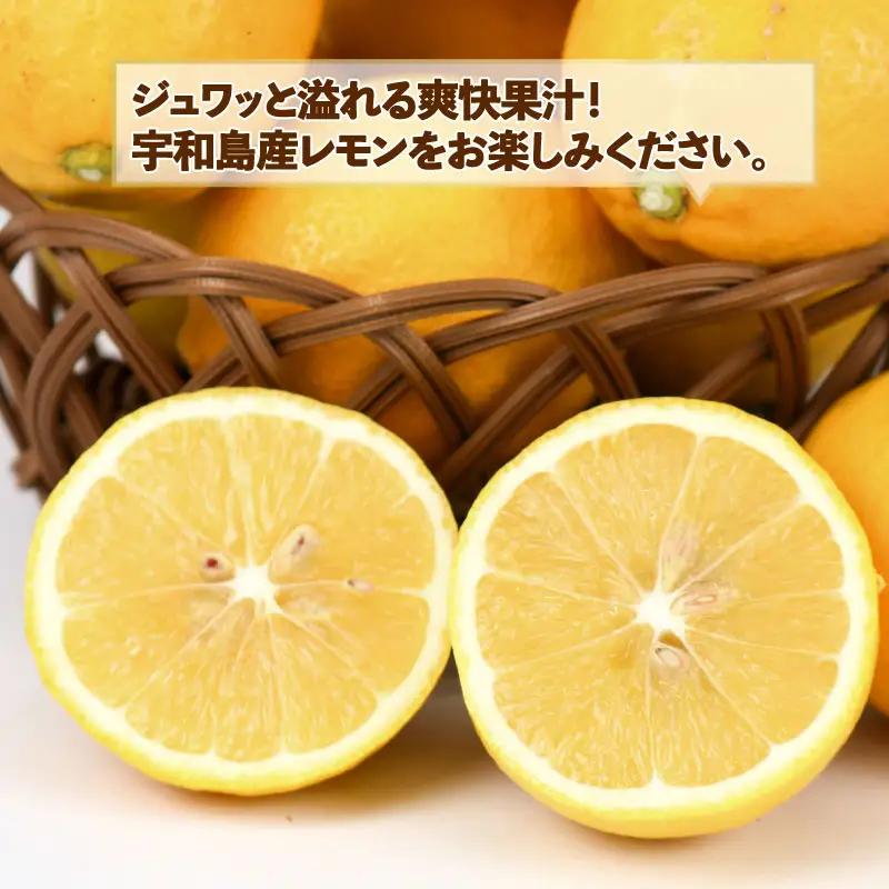訳あり レモン 約 5kg スーパー山田屋 わけあり れもん 檸檬 レモン果汁 酸味 爽やか 果実 サワー ジュース チューハイ remon 果物 くだもの ビタミン フルーツ 柑橘 産地直送 数量限