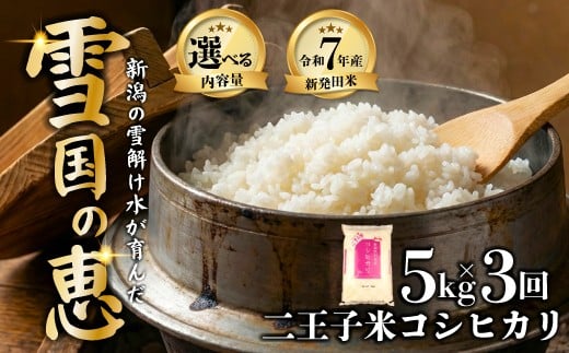 
                  【定期便】令和7年産 コシヒカリ 5kg×3ヶ月 15kg 数量限定 特別栽培米 二王子米 新潟産 新潟米 新発田産 新発田 お米 米 kome 白米 ご飯 こめ ごはん ライス ふるさと納税米 コシヒカリ お弁当 食品 せいだ とんとん市場 ブランド米 人気米 玄米 新潟県 新発田市 seida005_101
                