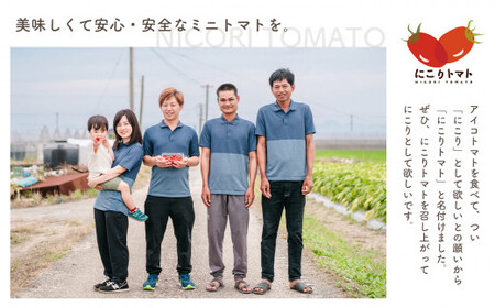 【 定期便 】 にこりトマト1kg×3ヶ月 ｜ 野菜 やさい ミニトマト トマト とまと アイコ 定期便 1kg 3回 熊本県 玉名市			