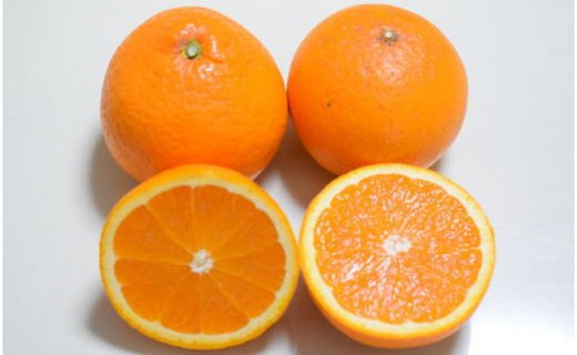 ［濃厚］有田産清見オレンジ約7.5kg(サイズおまかせ、または混合)ご家庭用★2026年2月中旬頃より順次発送［TM46］