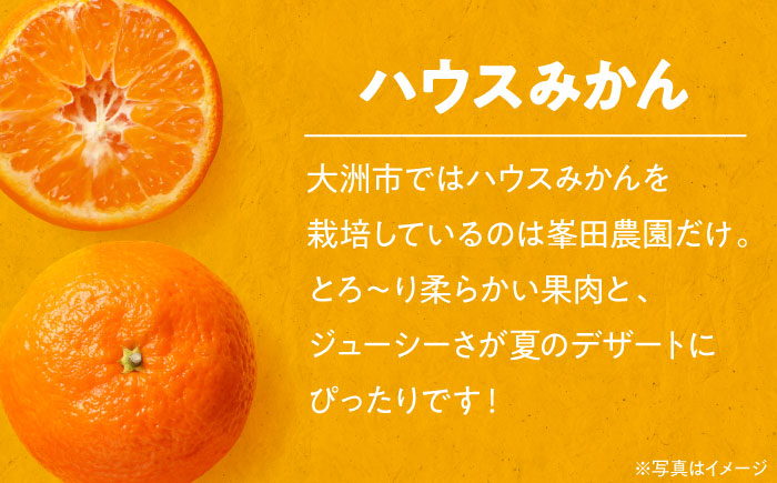 【先行予約】【夏限定】愛媛県産 峯田農園のあま〜い「ハウスみかん」3kg　愛媛県大洲市/峯田農園 [AGBT002]みかん オレンジ フルーツ ミカン 果物 かき氷 みかんジュース 愛媛みかん こたつ