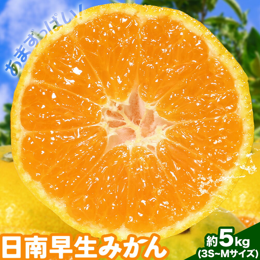 【ふるさと納税】みかん 日南早生みかん 早生 みかん 約5kg 3S-Mサイズ どの坂果樹園《10月上旬-下旬頃出荷》和歌山県 日高川町 産地直送 柑橘類 みかん 旬 フルーツ 果物 柑橘 送料無料