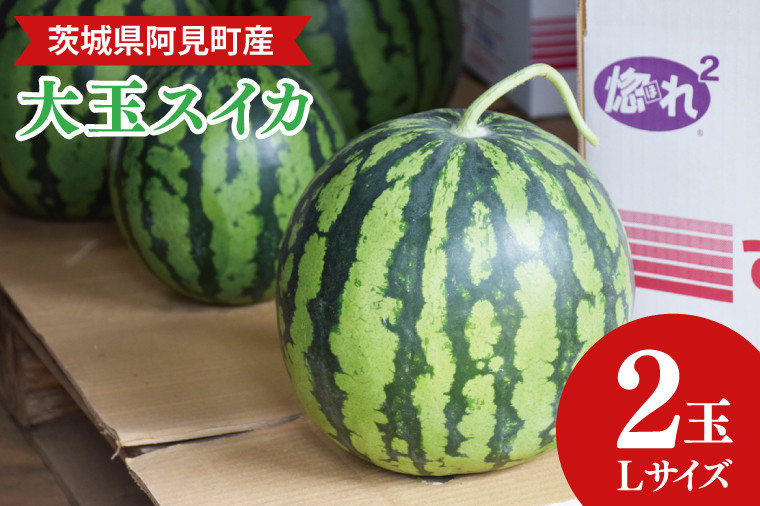 
                  茨城県産大玉すいか2玉（Lサイズ）高糖度  甘い 旬 人気 国産 産地直送 夏限定 期間 数量限定 スイカ 西瓜 フルーツ 果物 茨城県 阿見町【先行予約｜2026年6月中旬より順次配送】（21-01）
                