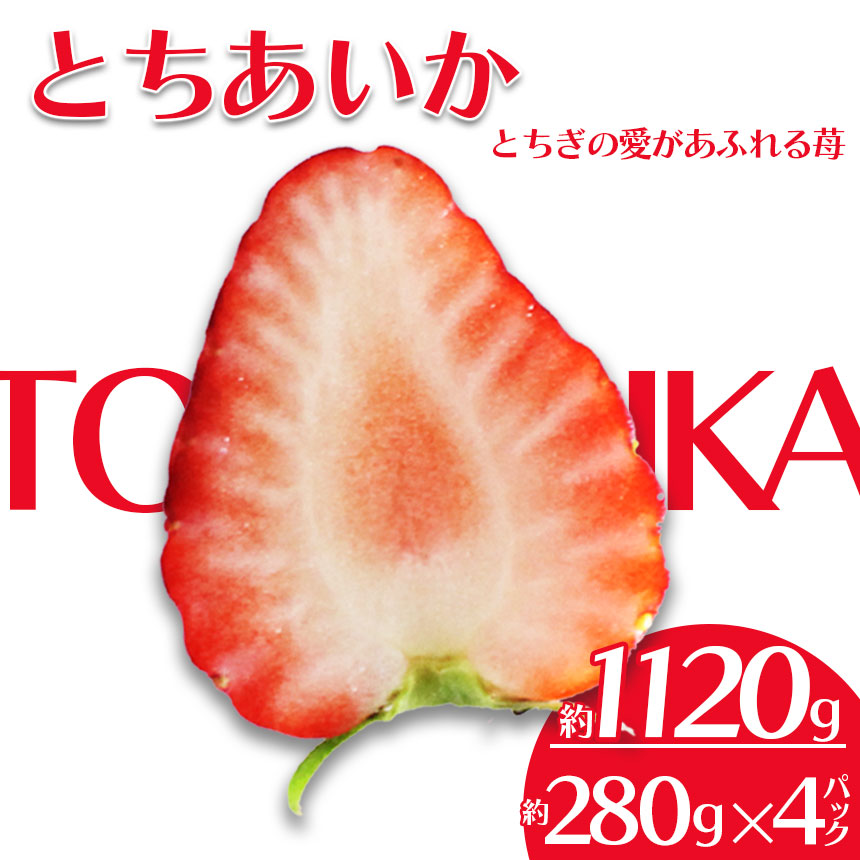 【ふるさと納税】 【先行予約】栃木県共通返礼品 JAうつのみや直送！ とちあいか 280g×4パック　【1月発送】  | いちご 甘い 美味しい 果物 フルーツ デザート 栃木県 下野市 送料無料