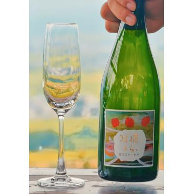 ふるさと納税 喜多方市 WINERY JUN【喜多方シードル2024】750ml×1本