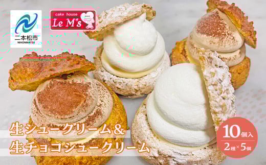 《2026年1月以降順次発送》生シュークリームと生チョコシュークリーム10個入り アソート 洋菓子 シュー チョコ お菓子 贈り物 食べ比べ プレゼント ギフト 菓子 冷凍【ル・エムズ】