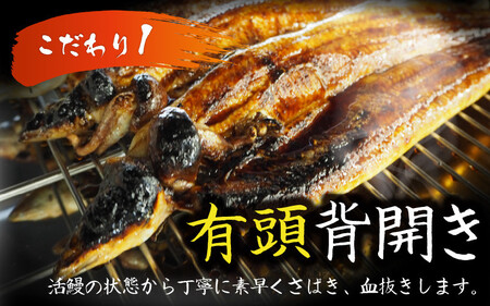国産 活うなぎ蒲焼 約1kg (約270g×4尾)【愛知県産 国産 無着色 鰻 ウナギ うなぎ】 [D-124005]