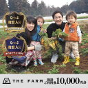 【ふるさと納税】BBQやキャンプなども楽しめる複合施設 THE FARM利用券10,000円分【1278726】