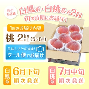 【定期便】完熟桃食べ比べ 2kg以上×2回送り【2025年発送】（HK）C1-442【白鳳 白桃 桃 もも モモ 令和7年発送 期間限定 山梨県産 甲州市 フルーツ 果物】