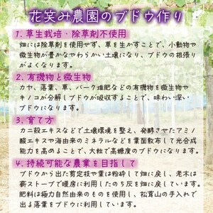 岡山　花笑み農園 の『シャインマスカット』800g以上(大1房)　S-大1　【9月下旬～順次発送】【配送不可地域：離島】【1628327】