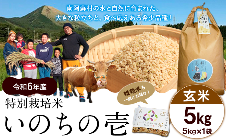 新米 令和6年産 米 いのちの壱(玄米)5kg 雑穀米 付き《30日以内に出荷予定(土日祝除く)》南阿蘇 虹色のかば---sms_inci6_30d_24_13000_g5kg---