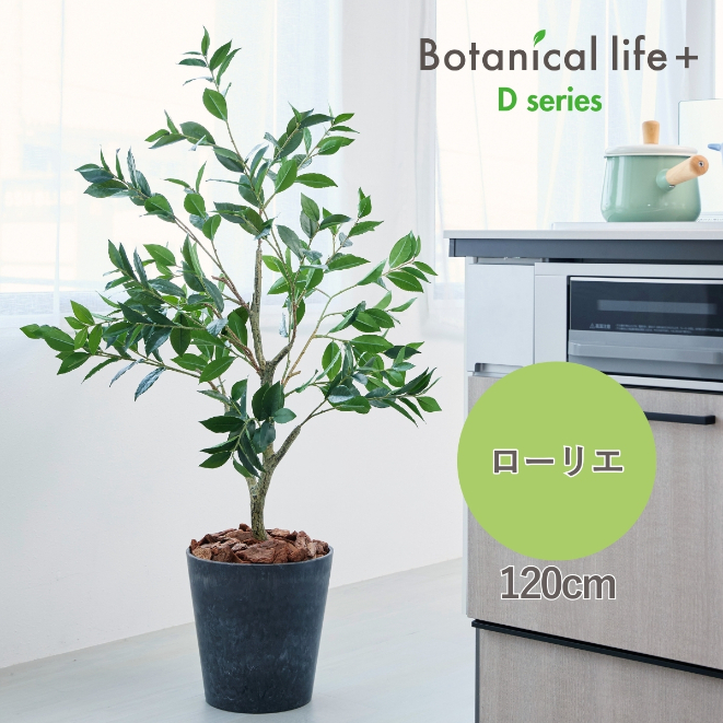 フェイクグリーン Botanical life+ Dシリーズ ローリエ 120cm 光触媒加工 鉢付き （鉢： ナチュラルカラー グレー ） インテリア 抗菌 消臭 愛知県 豊橋市 送料無料 52000円
