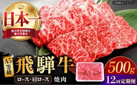 【12回定期便】 飛騨牛 焼肉用 ロース・肩ロース 500g A5等級 多治見市 [TAZ033] 飛騨牛 定期便