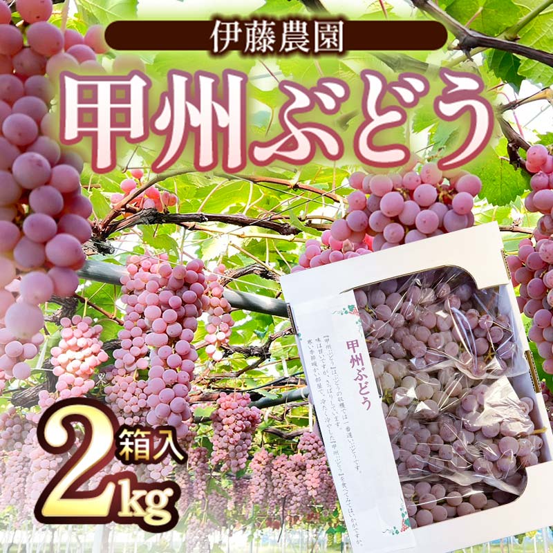 【ふるさと納税】【令和7年産先行予約】 甲州ぶどう 2kg箱入（4〜6房） 山形県鶴岡産 伊藤農園
