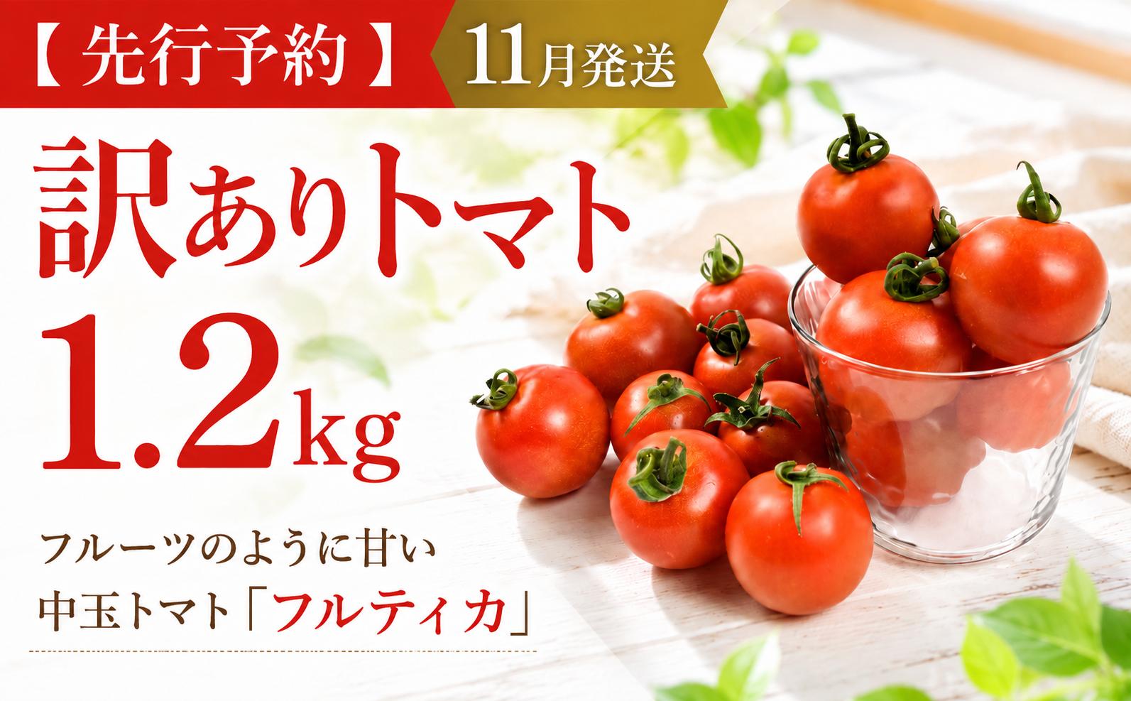 
                  【 先行予約 11月発送 】 訳あり トマト 1.2kg 無添加 高糖度 中玉 不揃い トマト フルティカ とまと tomato 野菜 果物 やさい フルーツ 先行予約 産地直送 数量限定 農家直送 鮮度 新鮮 リコピン 栽培 ビタミン 美容 健康 お弁当 わけあり 訳アリ 訳あり品 サラダトマト とまと ギフト プレゼント トマトジュース 野菜 やさい サラダ とまと トマト 高知県 安芸市
                