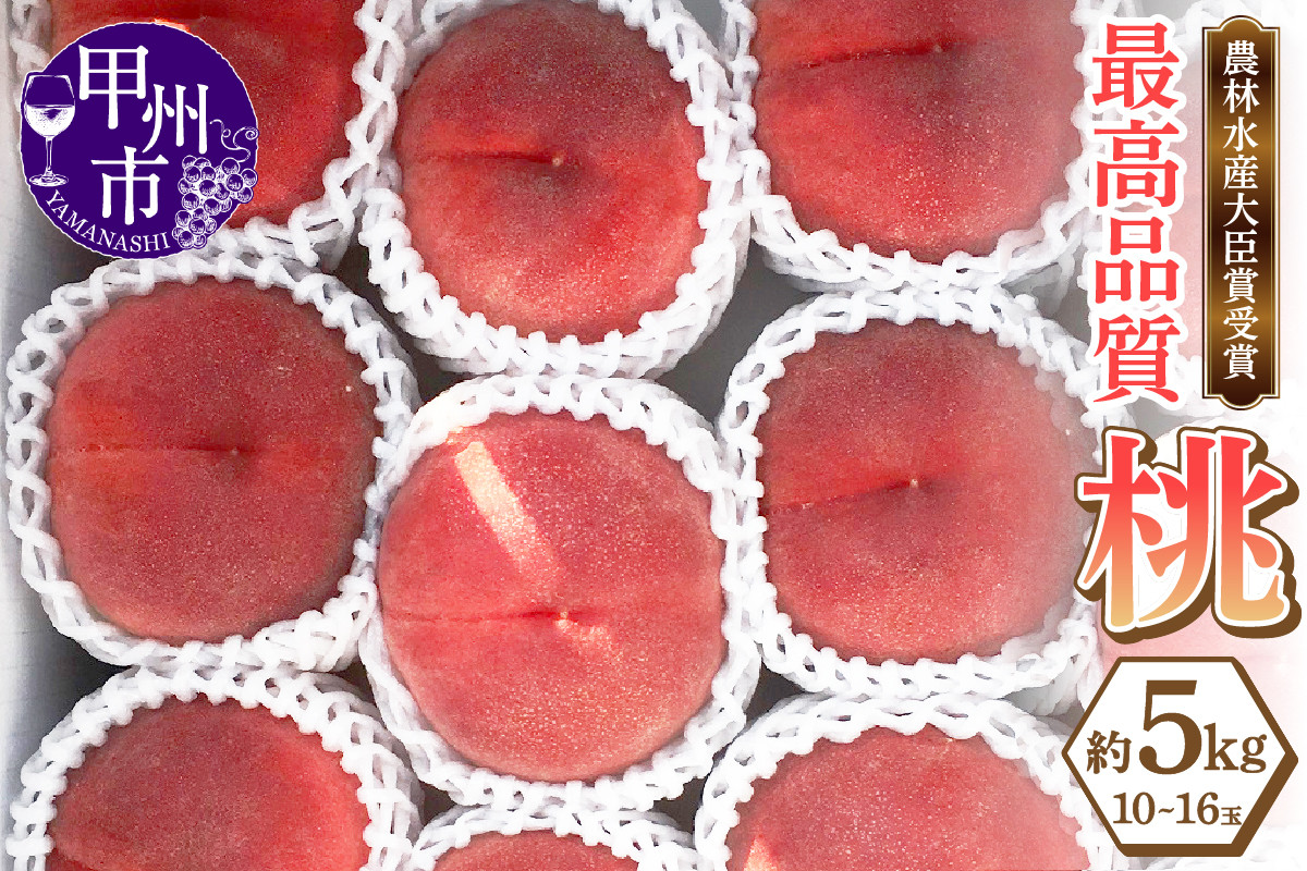 
            農林水産大臣賞経験のある最高品質の桃を感謝を込めて朝どれでお贈りします！約5kg（10～16玉）【2025年発送】（LMS）D-170 【桃 もも モモ 令和7年発送 期間限定 山梨県産 甲州市 フルーツ 果物】
          