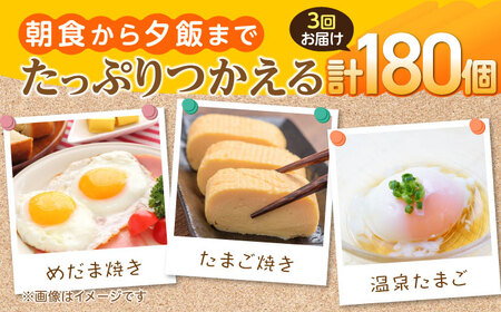 【定期便】お茶と海藻で健康育ち 元気卵 180個（60個×3回） 亀山市/藪本養鶏園 タマゴ 玉子 送料無料[AMBH006]