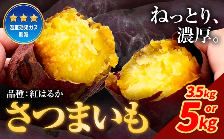 さつまいも 紅はるか 選べる 3.5kg～5kg《12月中旬-2月末頃出荷》熊本県 御船町 野菜 芋 さつま いも 焼き芋 送料無料---mifune_hss_4_3500g---