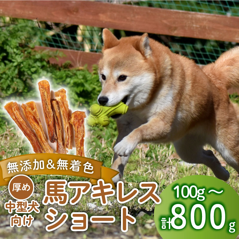 【ふるさと納税】 ドッグフード 馬アキレスショート 選べる容量 100g～800g 馬 ドックフード アキレス ショート ペット おやつ ペット用品 犬用 無添加 無着色 安心 安全 国内製造 自然食品 ケーティーコモディティ 新潟 新発田 J04P