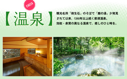 栃木県那須町で使える 共通宿泊利用券 15,000円分（3,000円×5枚）〔E-6〕｜宿泊 旅行 チケット 宿泊券 温泉 露天風呂 旅行券 ホテル 観光 国内旅行 那須 栃木県 那須町