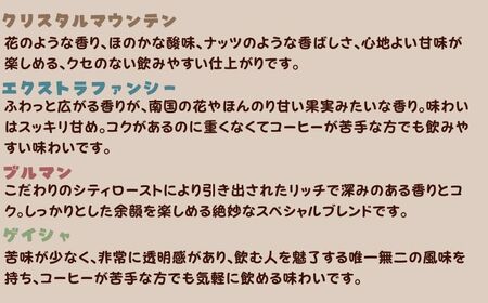 コーヒー 定期便 12回 計約3.4㎏ 粉  自家焙煎 定期便12ヶ月 千葉県 銚子市 ティピカ