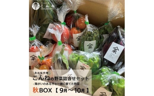【予約：2026年9月から順次発送】こんねの旬の野菜詰め合わせセット 秋BOX 9〜10月 ( 野菜 やさい セット 詰め合わせ 野菜セット 旬 新鮮 )【202-0004】