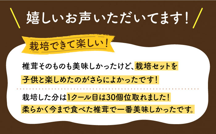 【全3回定期便】平戸有機きのこ栽培セット詰合せ〜旨み凝縮椎茸の芽付き〜 【きのこ屋】 [KAD285]