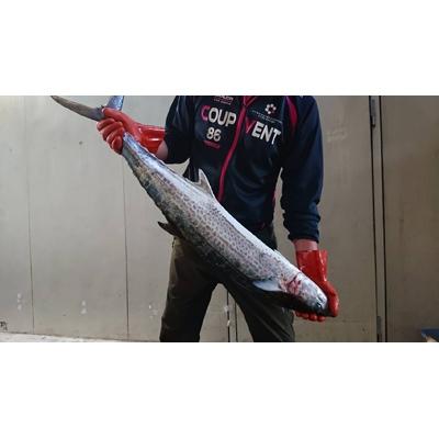 ふるさと納税 湯浅町 【2025年6月上旬発送】和歌山産天然鯛とさわらの西京漬　6切詰合せ |  | 02