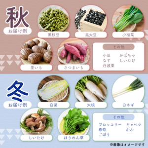 【6回定期便】 野菜セット 4~12種類 詰め合せ 季節の野菜 旬の野菜
