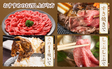 牛肉 GI認証 くまもとあか牛すき焼き・しゃぶしゃぶ用 500g 山の里《60日以内に出荷予定(土日祝除く)》熊本県 産山村 しゃぶしゃぶ すき焼き GI認証 くまもとあか牛 赤身 和牛 牛肉 国産 