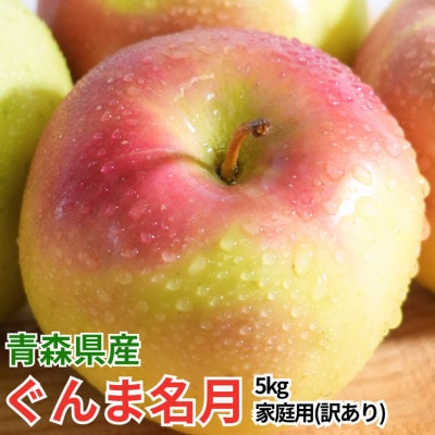 【27年4月より順次発送】平均糖度13度以上! ぐんま名月 約5kg 訳あり  クール便【配送不可地域：離島・沖縄県】