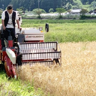 ふるさと納税 与謝野町 数量限定!令和7年産新米 自然循環農業で育った京都与謝野町産コシヒカリ「京の豆っこ米」　精米20kg |  | 02